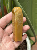 Lao Bei Bu Tian Huang Shi tall rectangle seal blank 2x2x8.5cm hand engraved floral bird relief studio shot held in hand