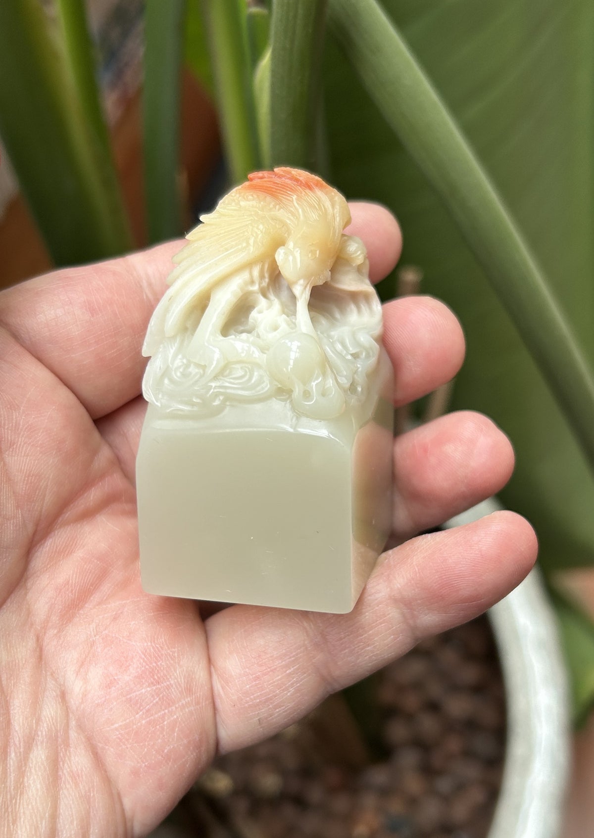 Lao Stone square seal blank 3.3x3.6x6cm hand carved phoenix playing pearl top view studio shot held in hand