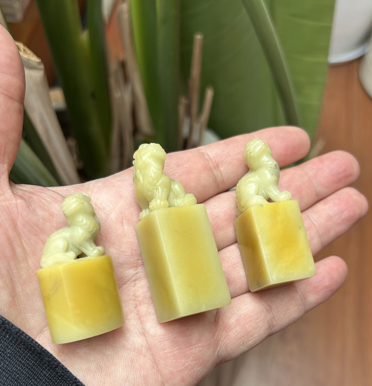 Qingtian Stone 'Caihua' Yellow Seal Set - Hand-Carved Beast Knobs, 5-Piece Collection