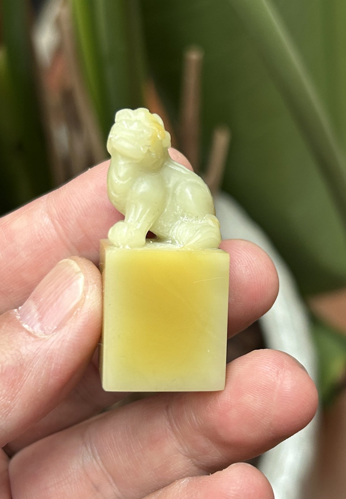 Qingtian Stone 'Caihua' Yellow Seal Set - Hand-Carved Beast Knobs, 5-Piece Collection