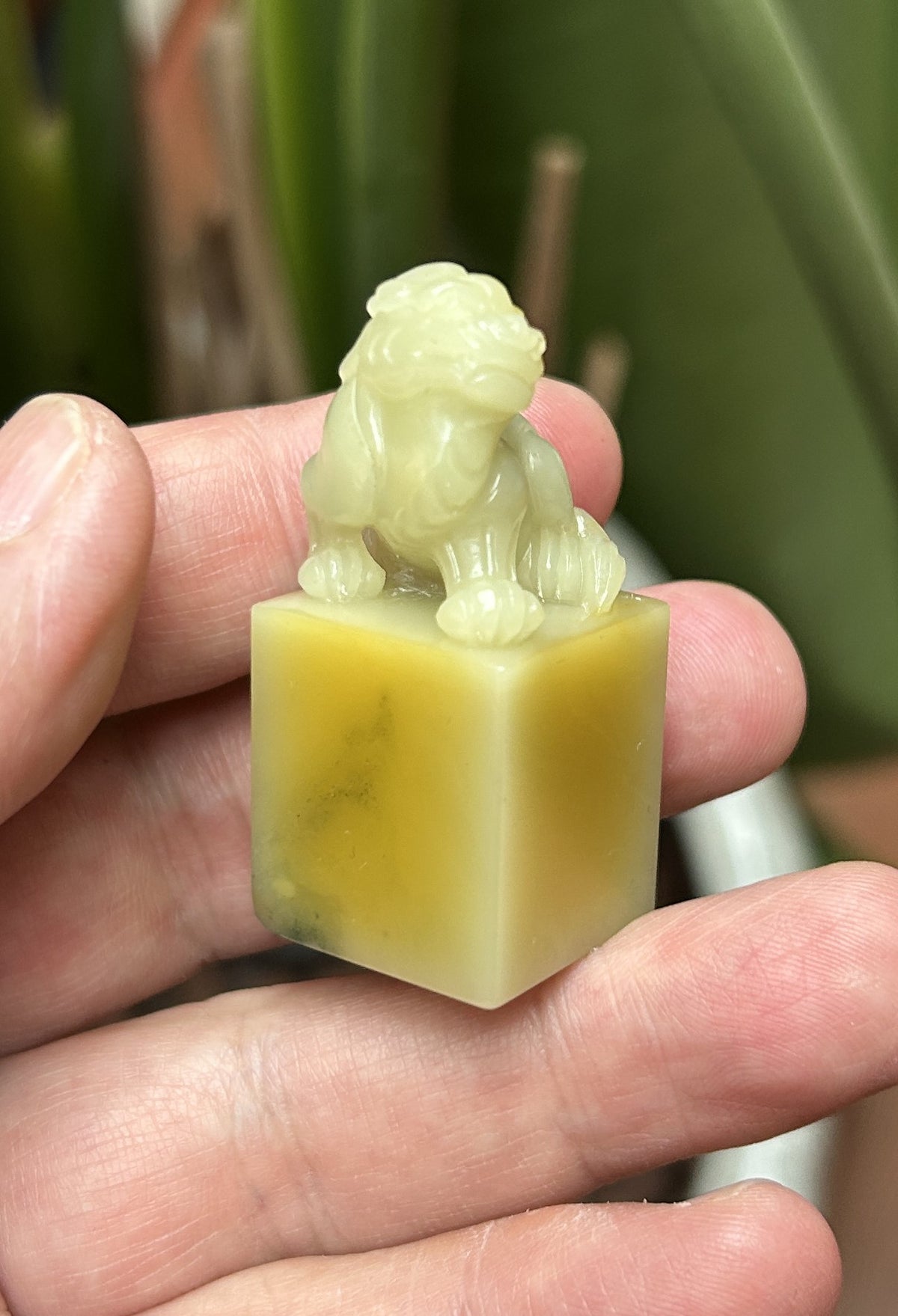 Qingtian Stone 'Caihua' Yellow Seal Set - Hand-Carved Beast Knobs, 5-Piece Collection