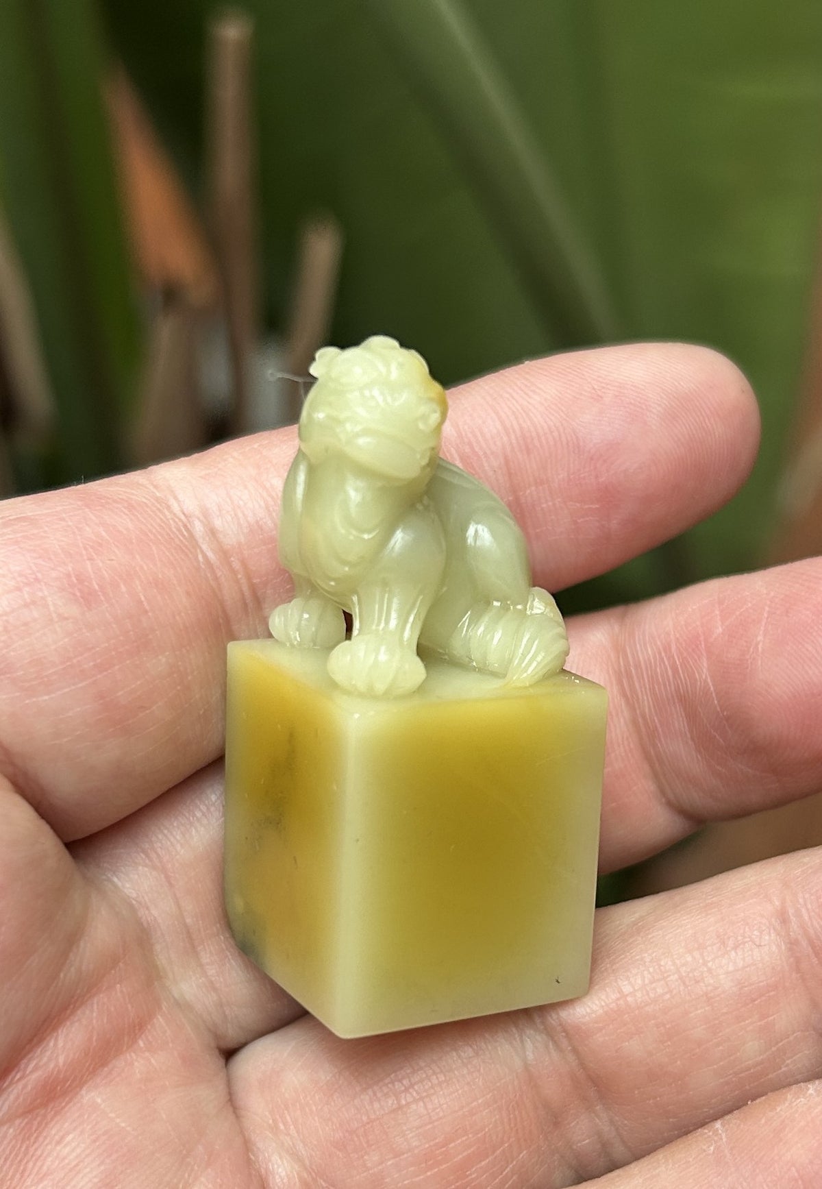 Qingtian Stone 'Caihua' Yellow Seal Set - Hand-Carved Beast Knobs, 5-Piece Collection