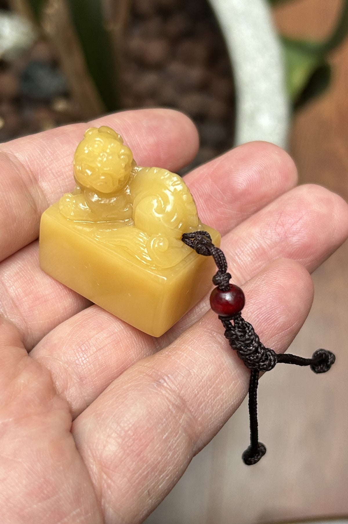 Shoushan Qijiang stone seal blank 1.9x3x3cm hand carved beast knob rectangular base studio shot held in hand