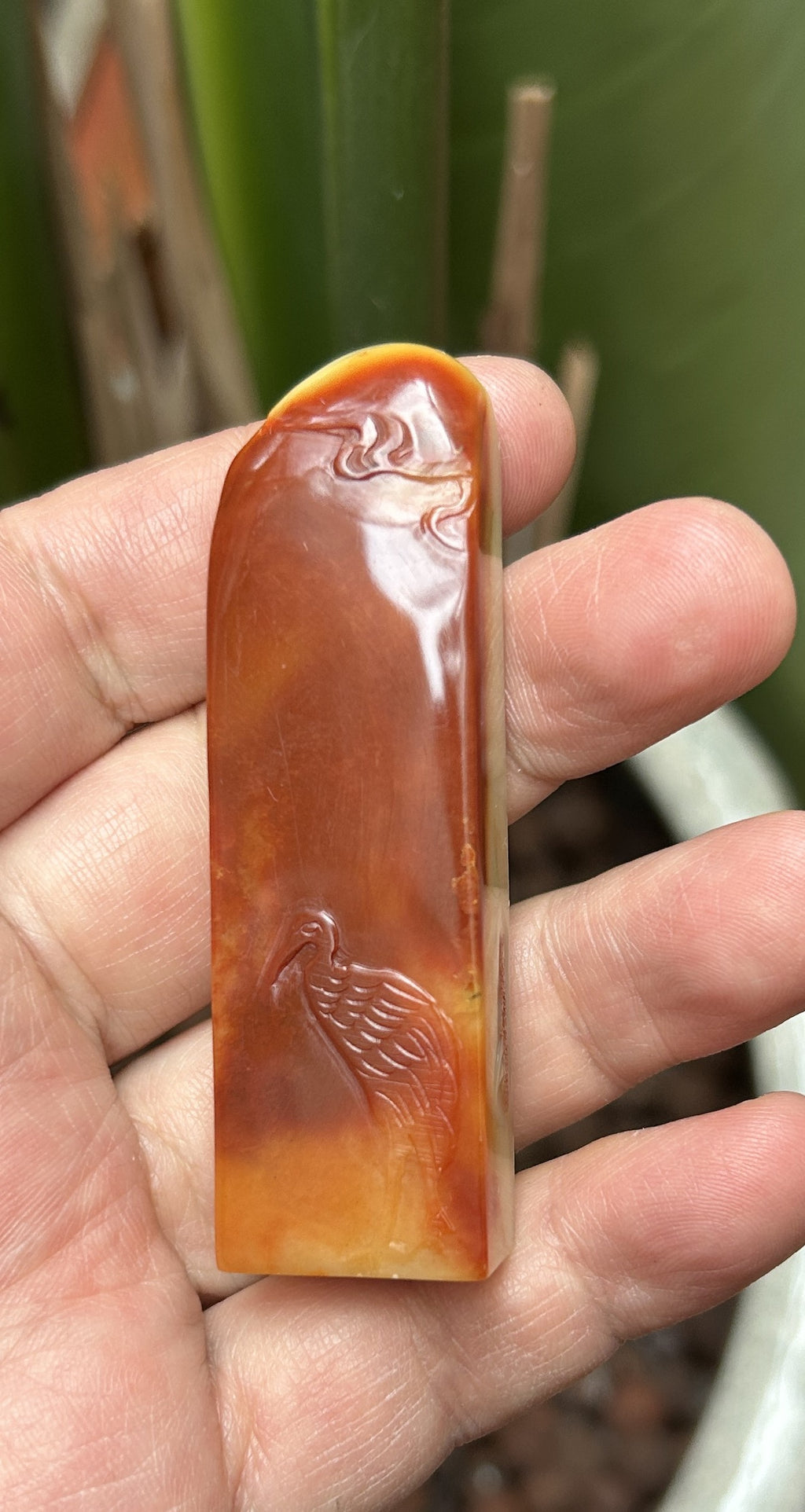 Detailed hand-carved red-crowned crane and cloud relief on Shoushan Furong stone seal