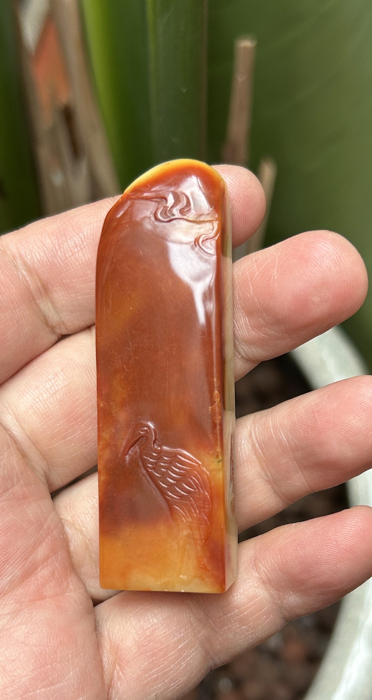 Detailed hand-carved red-crowned crane and cloud relief on Shoushan Furong stone seal